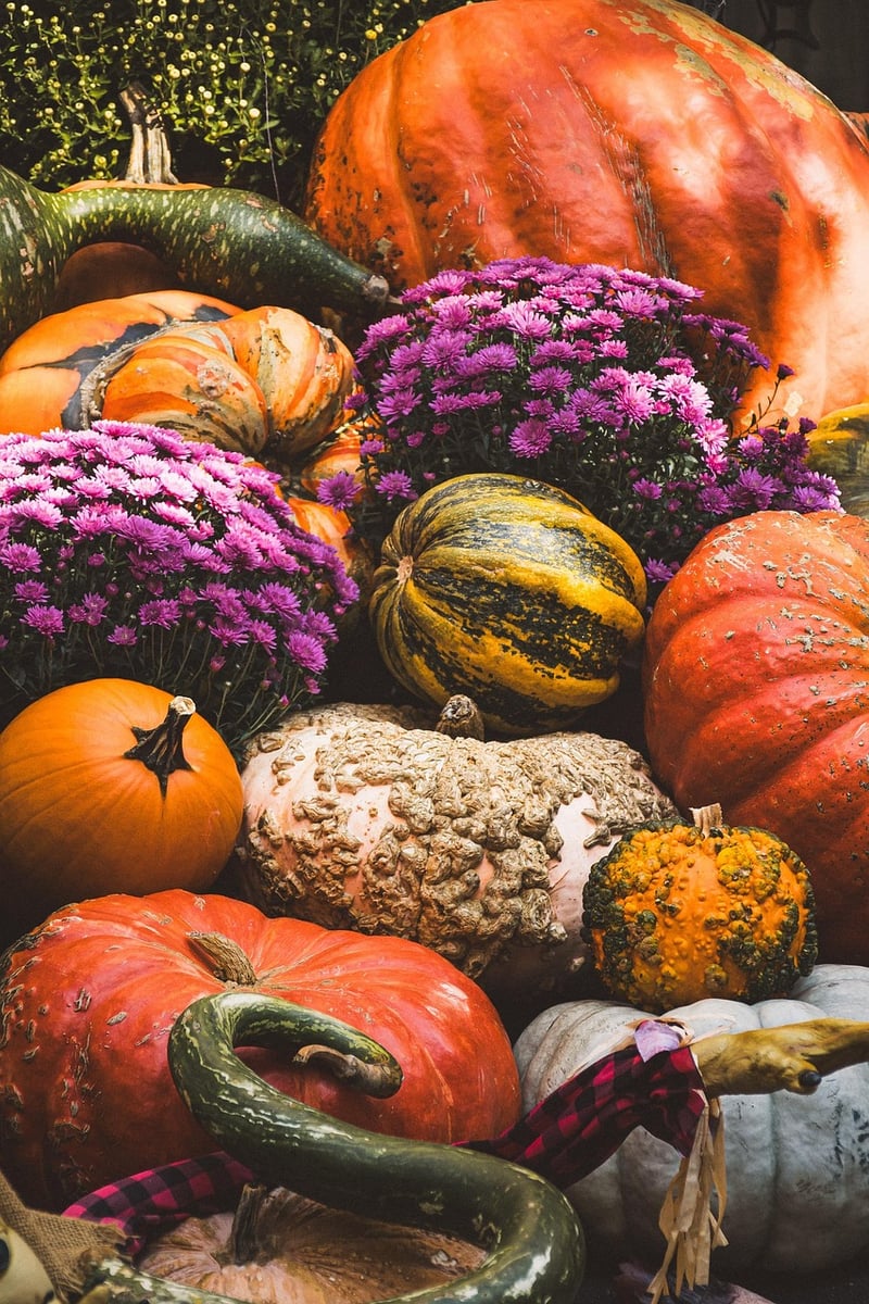Sharing Harvests