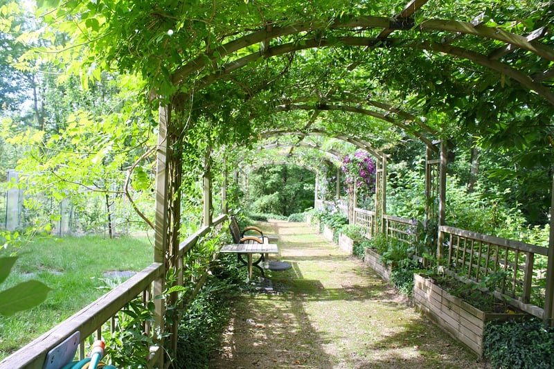Trellis Planting
